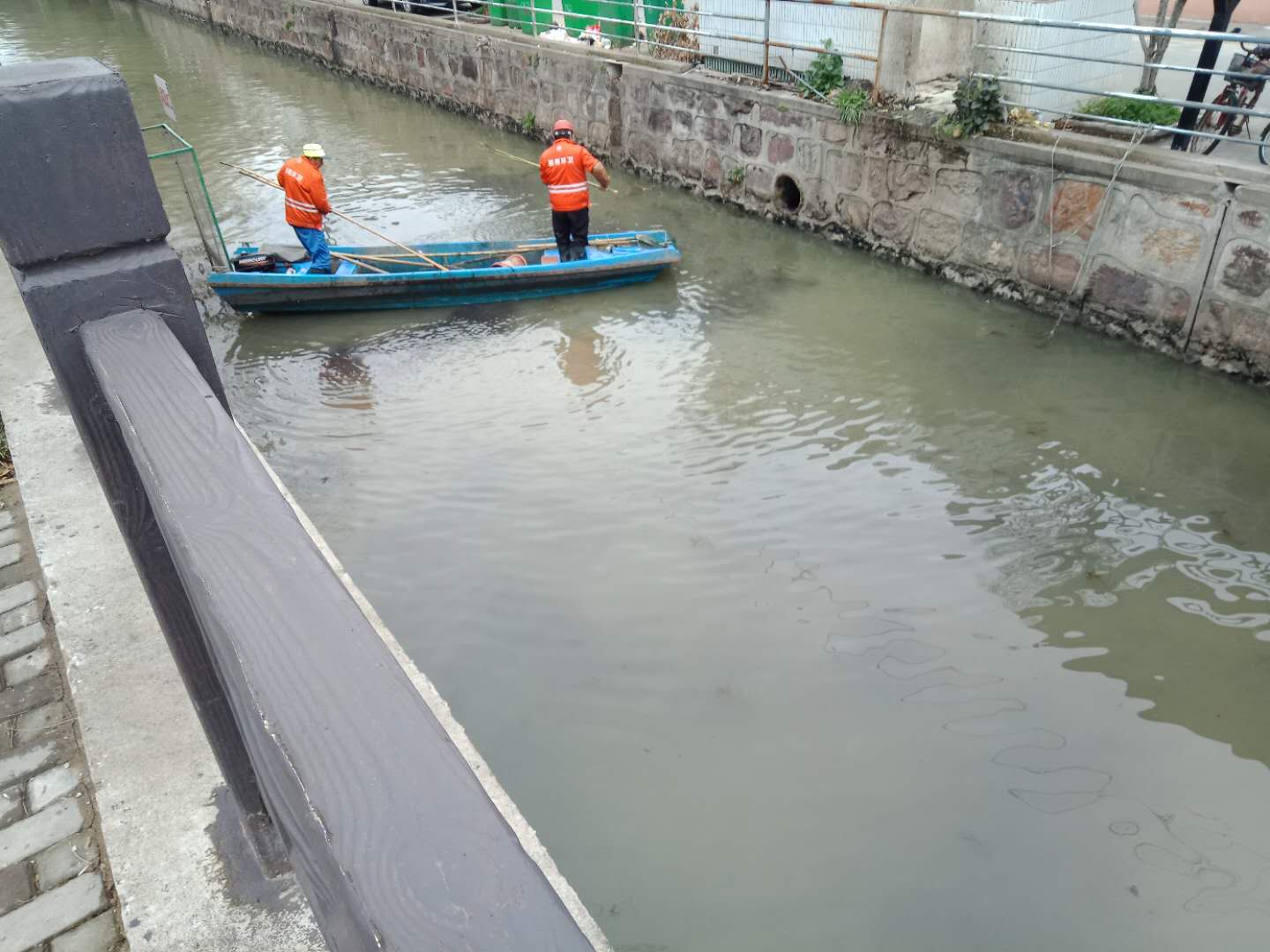 新加人在行動(圖7)