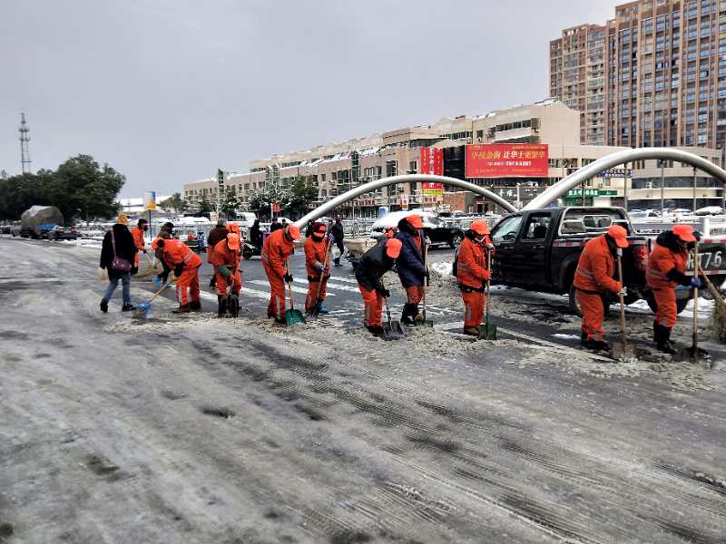 新加人在行動(圖15)