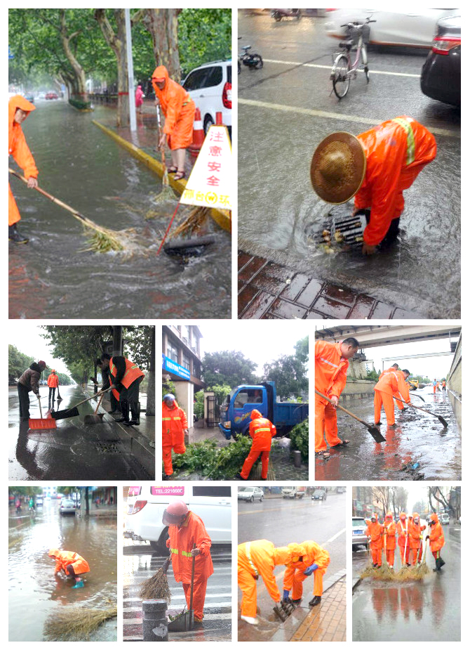 新加人在行動(圖17)