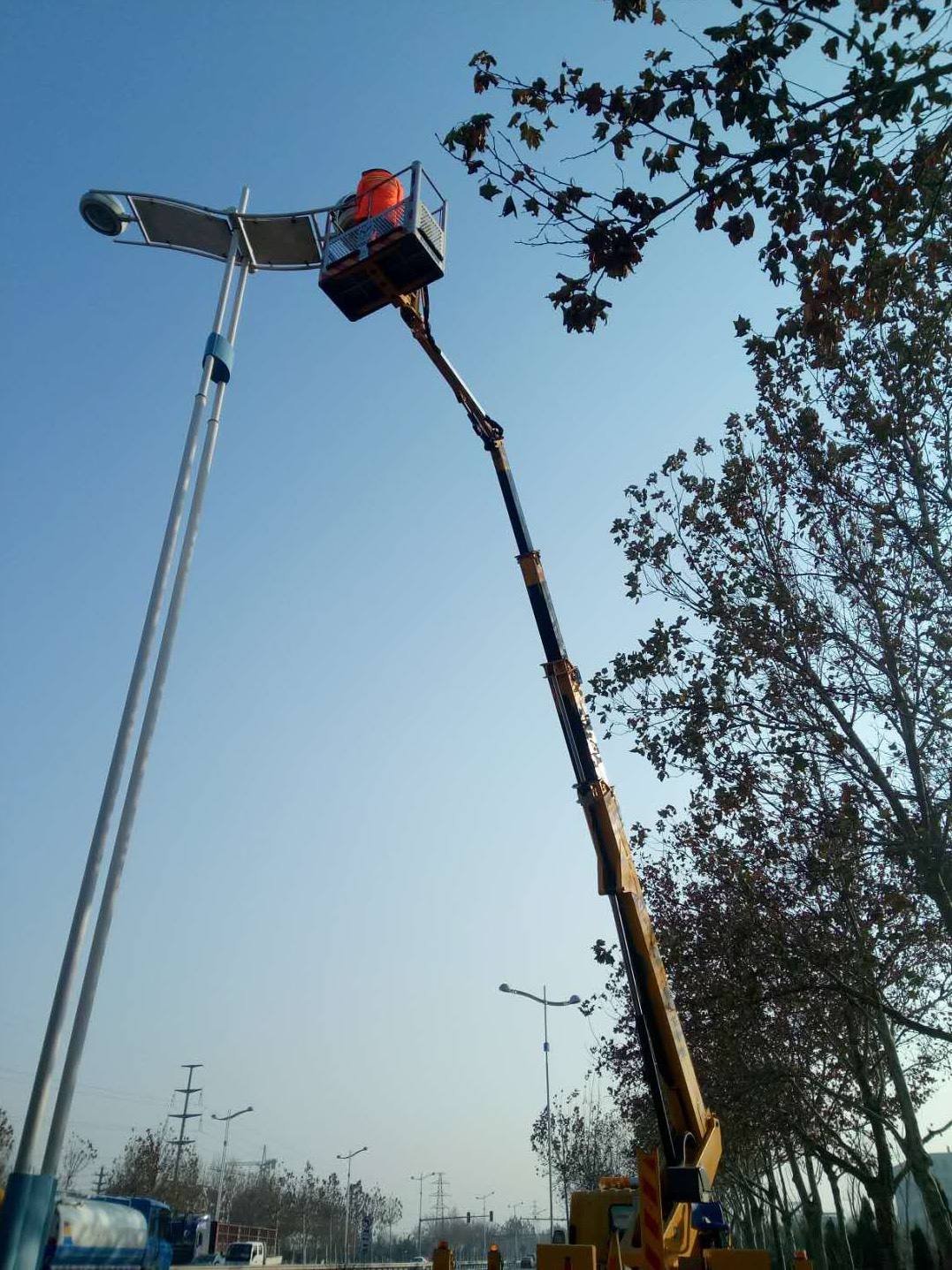 路燈管養(yǎng)(圖1)